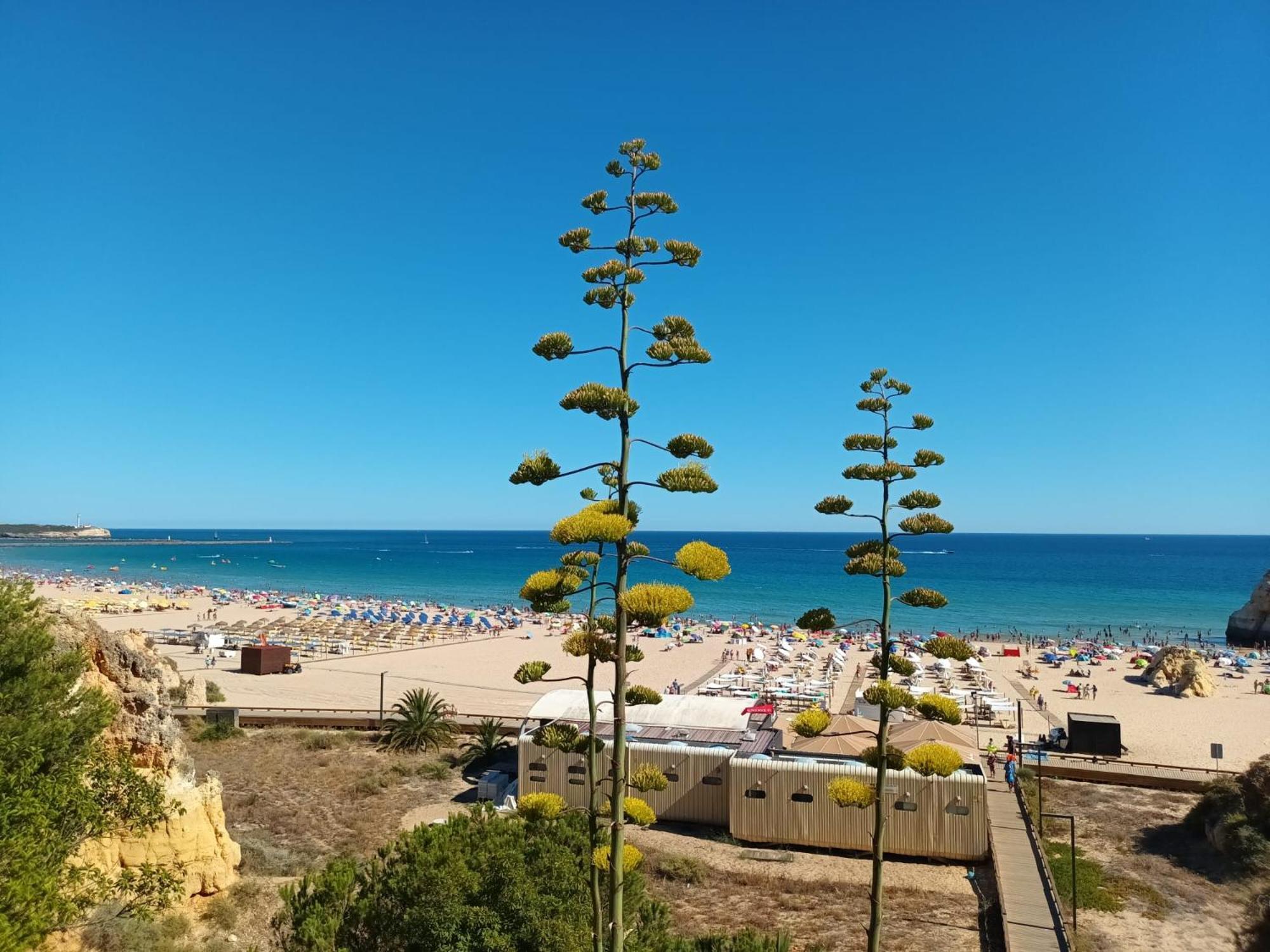 Luxury 2 Min Beach With Balcony, Ocean View, Wifi, Ac, Smarttv Portimão Exteriör bild